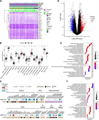 DNA5mC Regulator-Mediated Molecular Clusters and Tumor Microenvironment Signatures in Glioblastoma